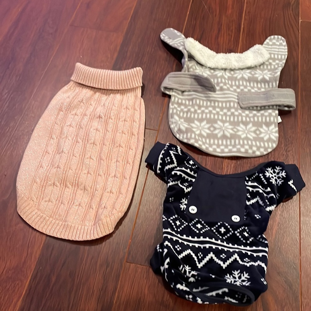 Cute doggy sweaters 🐾